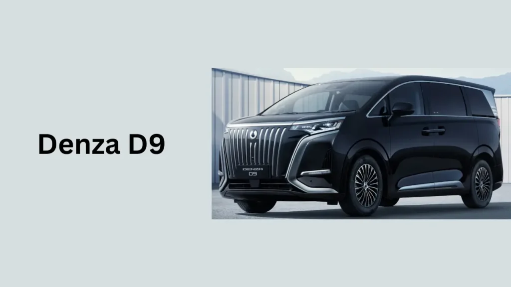 Denza D9