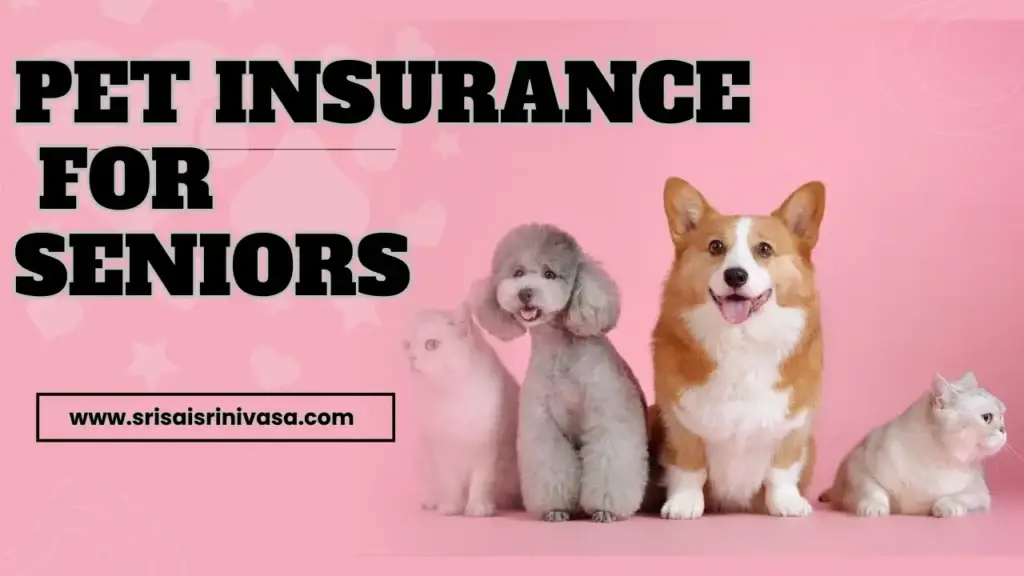 Pet Insurance for seniors