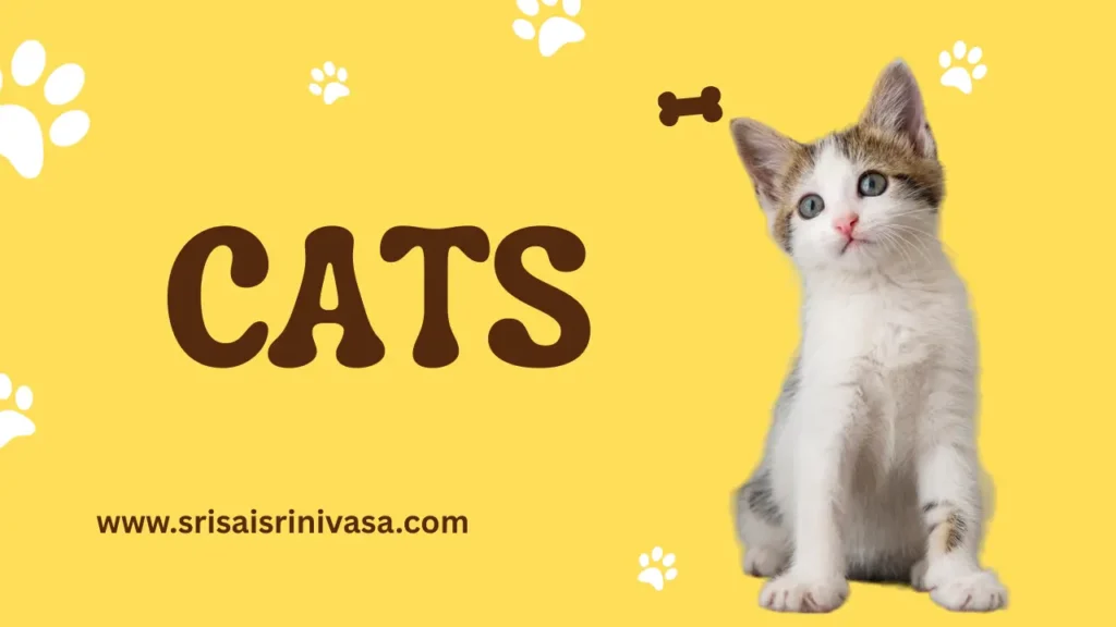 Cats