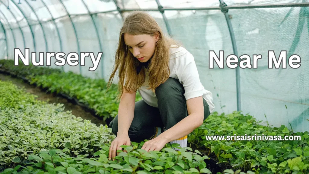 Nursery Near Me